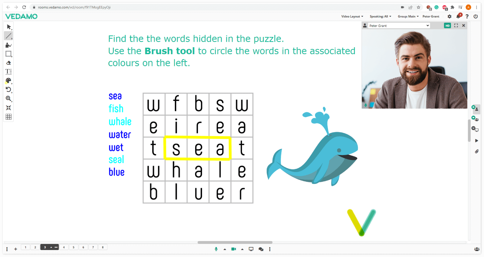 Video Boxes Settings for Participants in the Virtual classroom: Host’s point of view