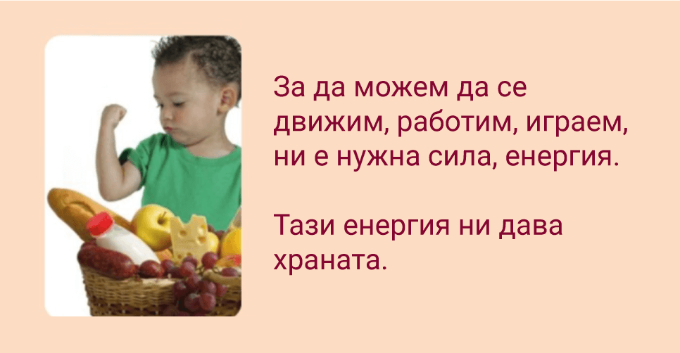 Здравословно хранене, 1. клас